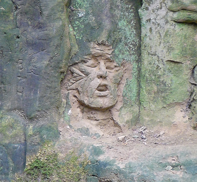 Rock Face in Shute's Lane
